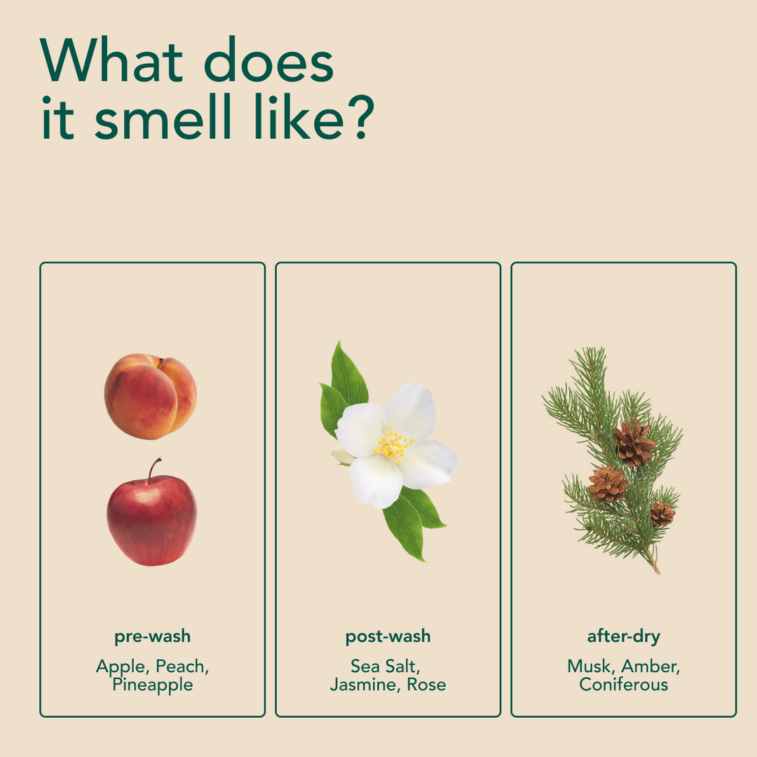 In-Wash Scent Booster