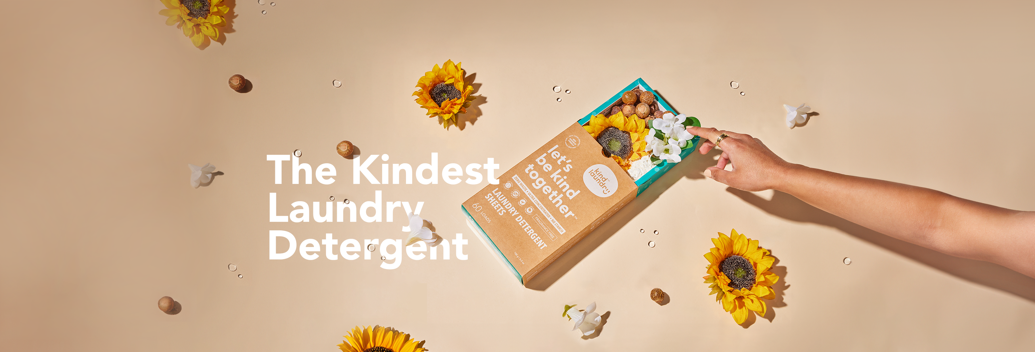 Evergreen banner desktop