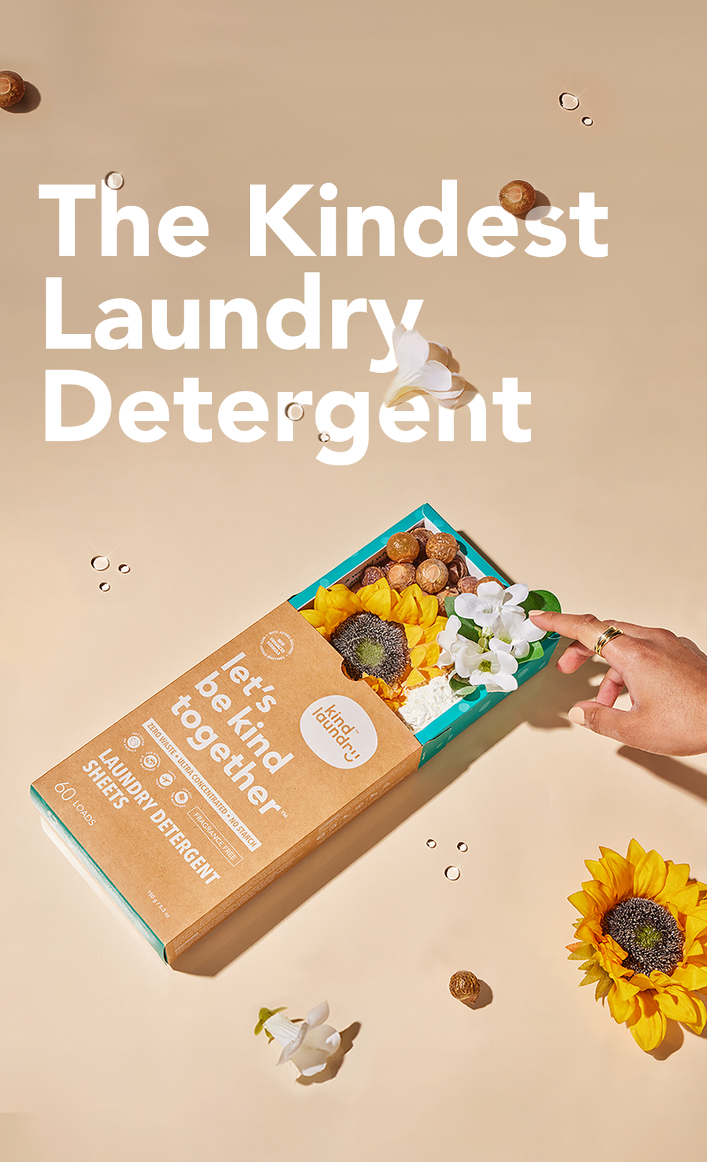 Evergreen banner mobile