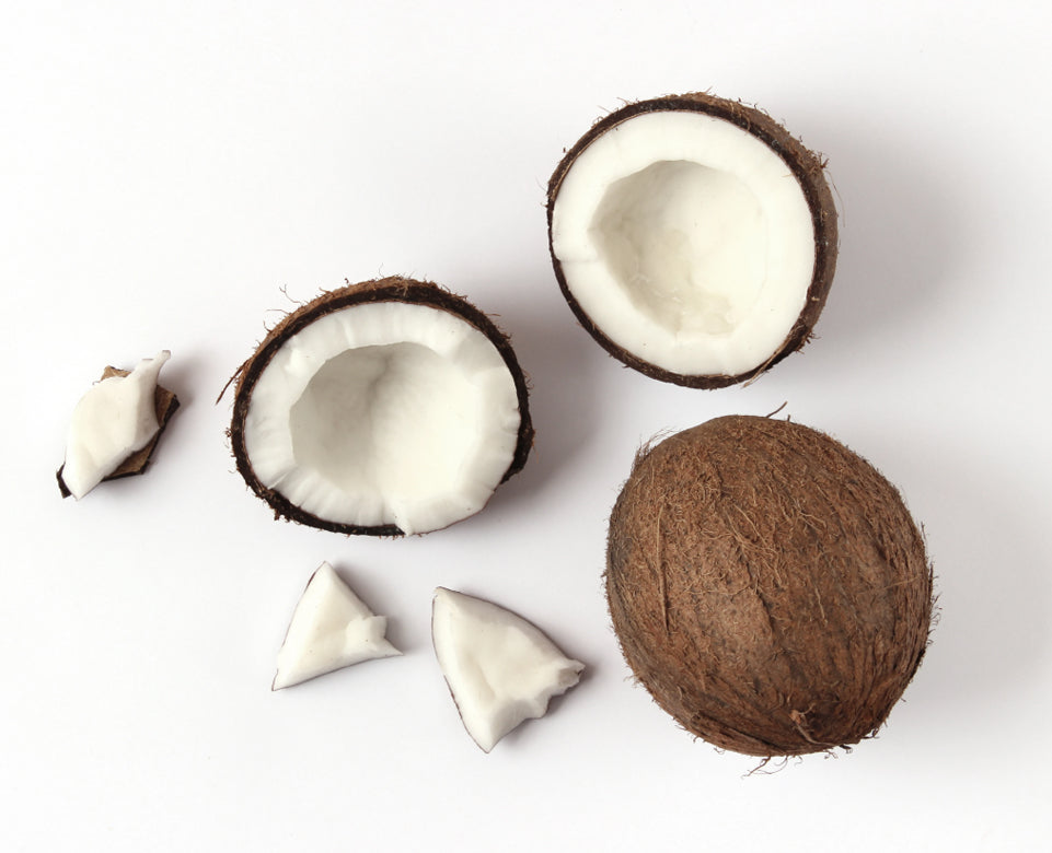 Natural Plant-Derived Ingredients