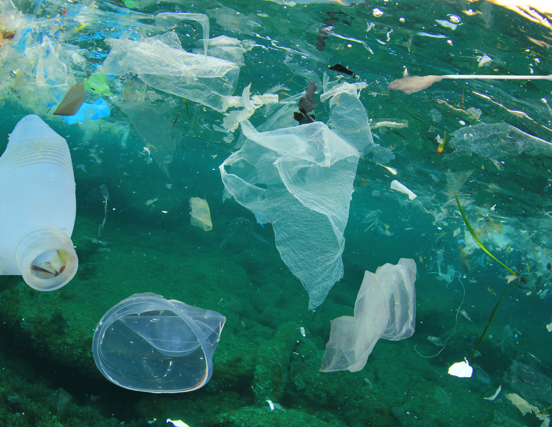 Impact of Detergents on the Environment: What Are the Negative Effects?