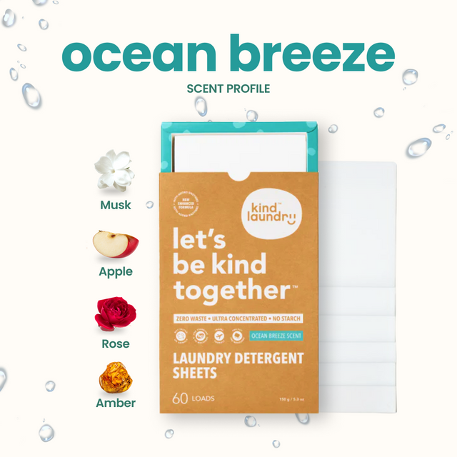 Laundry Essentials Kit