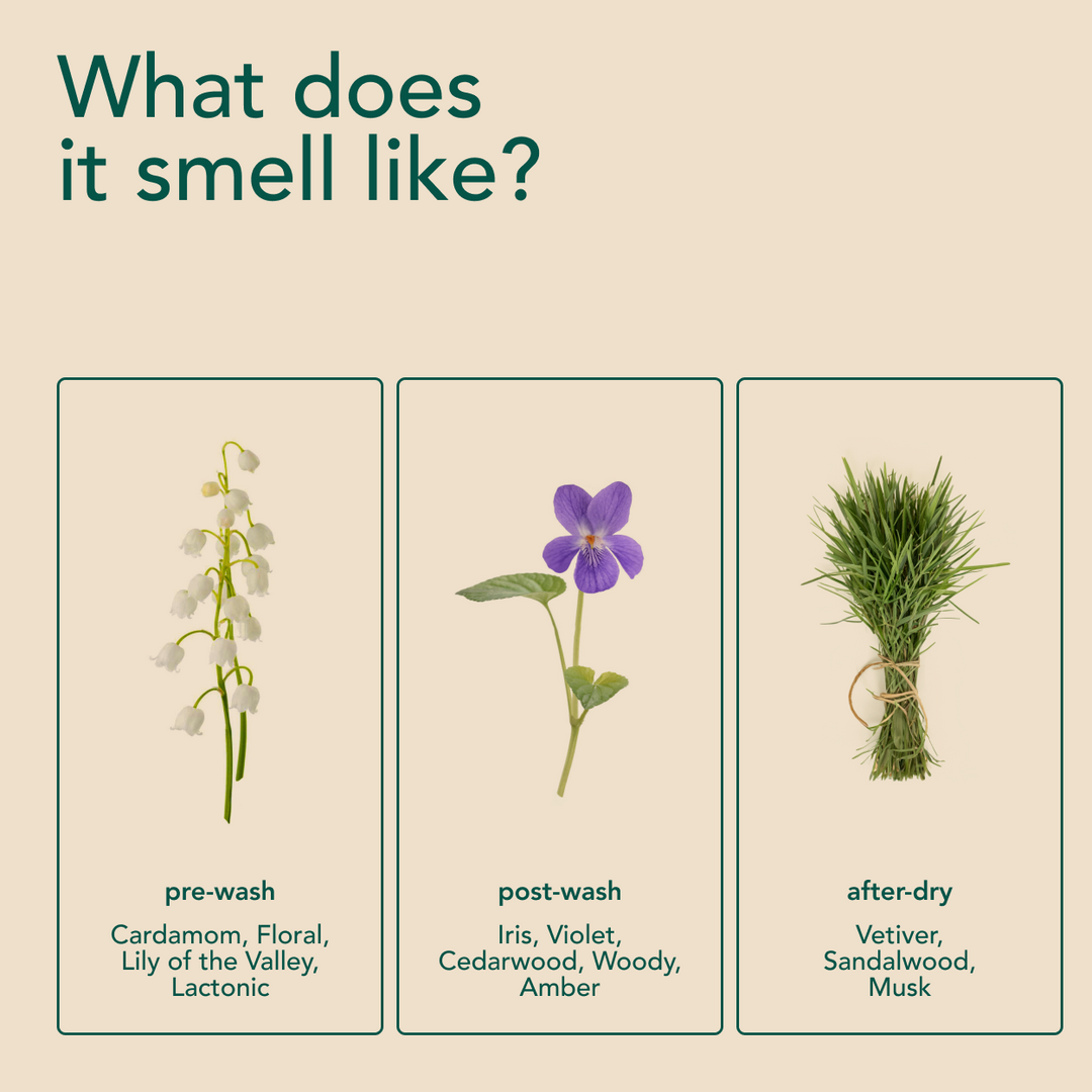 In-Wash Scent Boosters - Wood Haven (21 Loads)