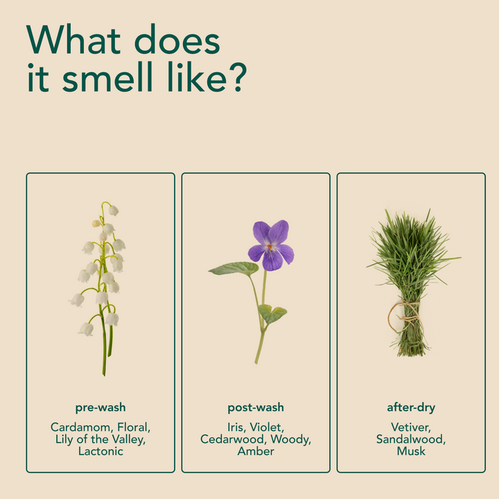In-Wash Scent Boosters - Wood Haven (21 Loads)