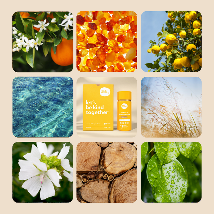Wash N' Boost - Neroli Zen