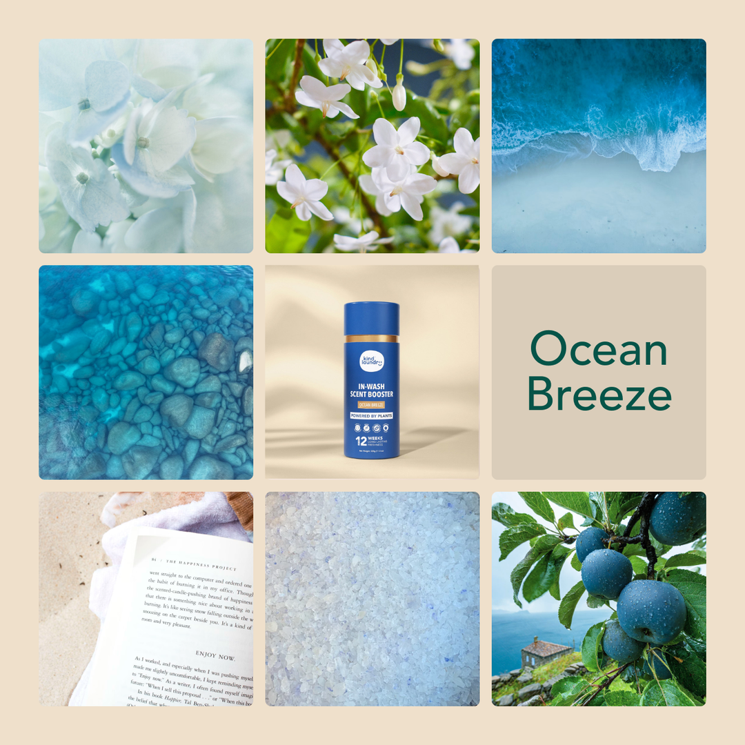 In-Wash Scent Booster